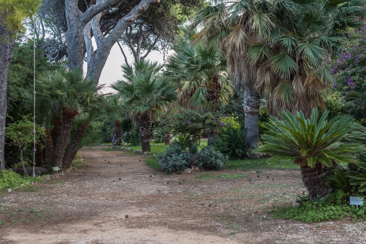 Azienda Agrituristica Tenuta Pizzolungo Erice Exterior foto
